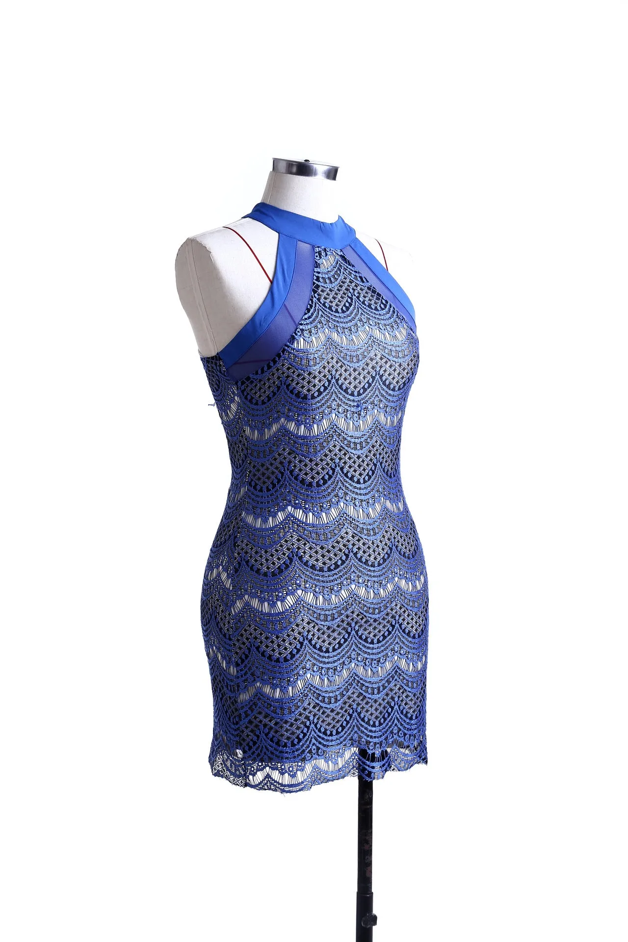 Fashion Sexy Lace Sapphire Blue Red Dresses