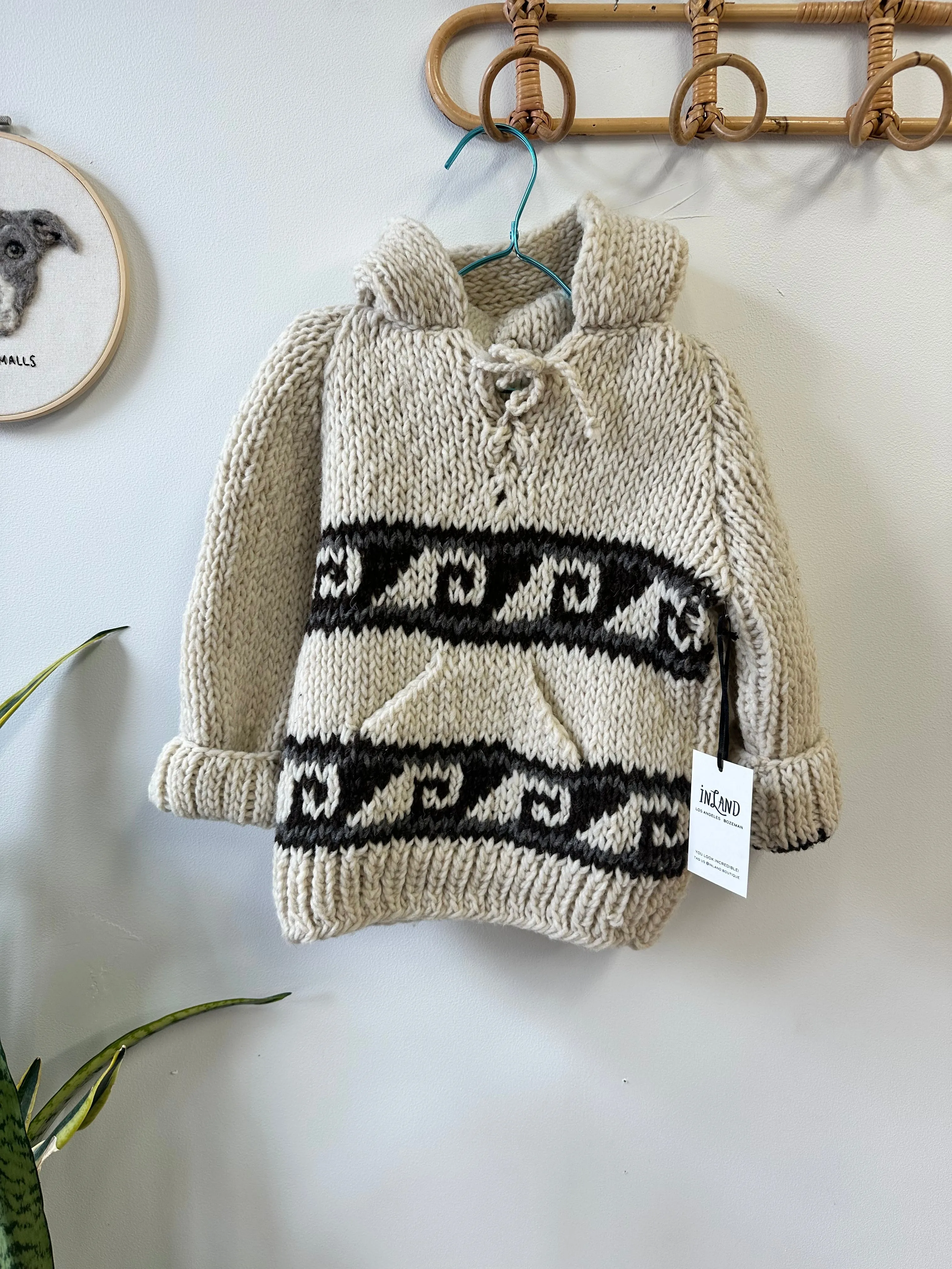 Kids Wool Hoodies
