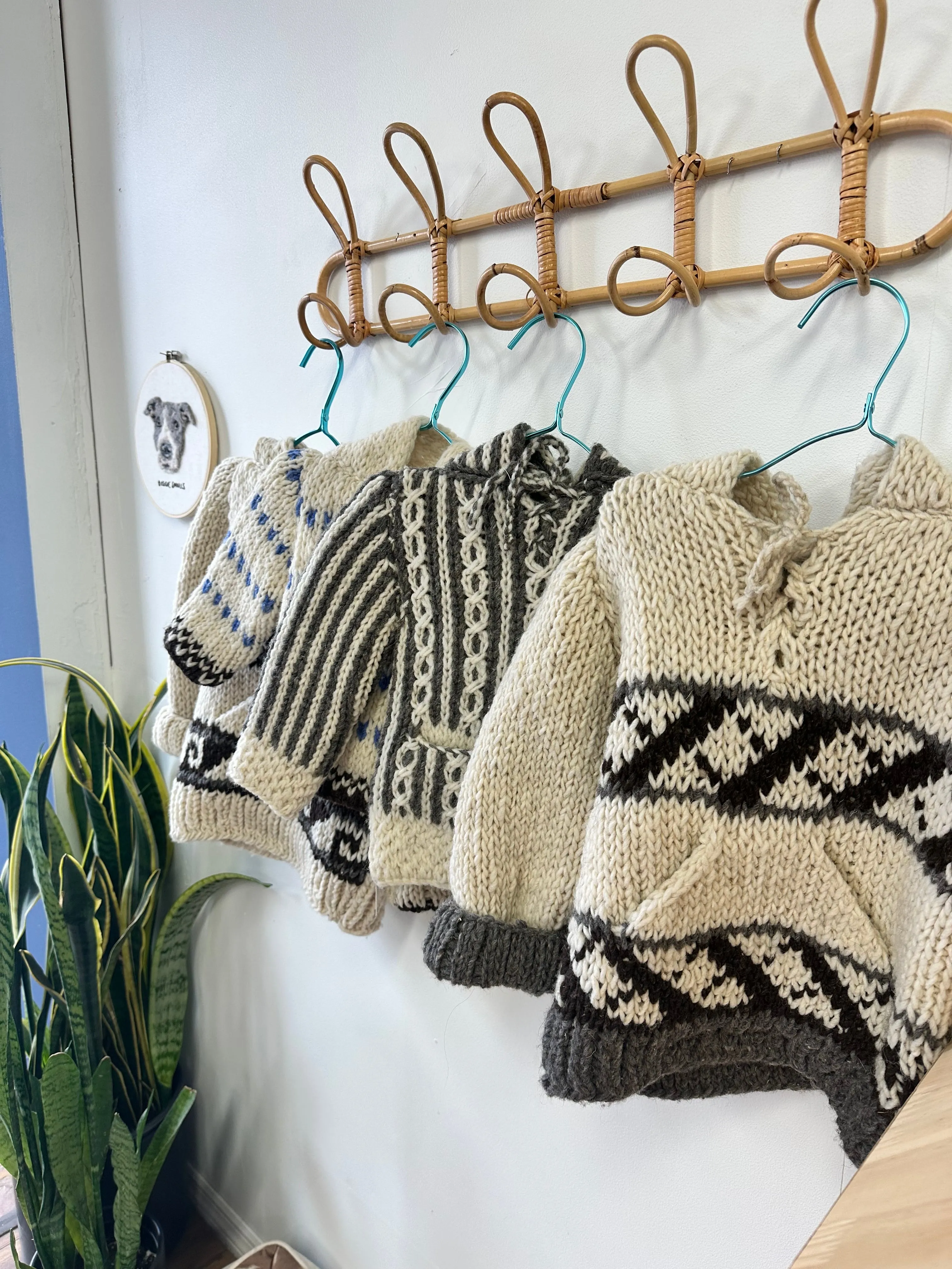 Kids Wool Hoodies