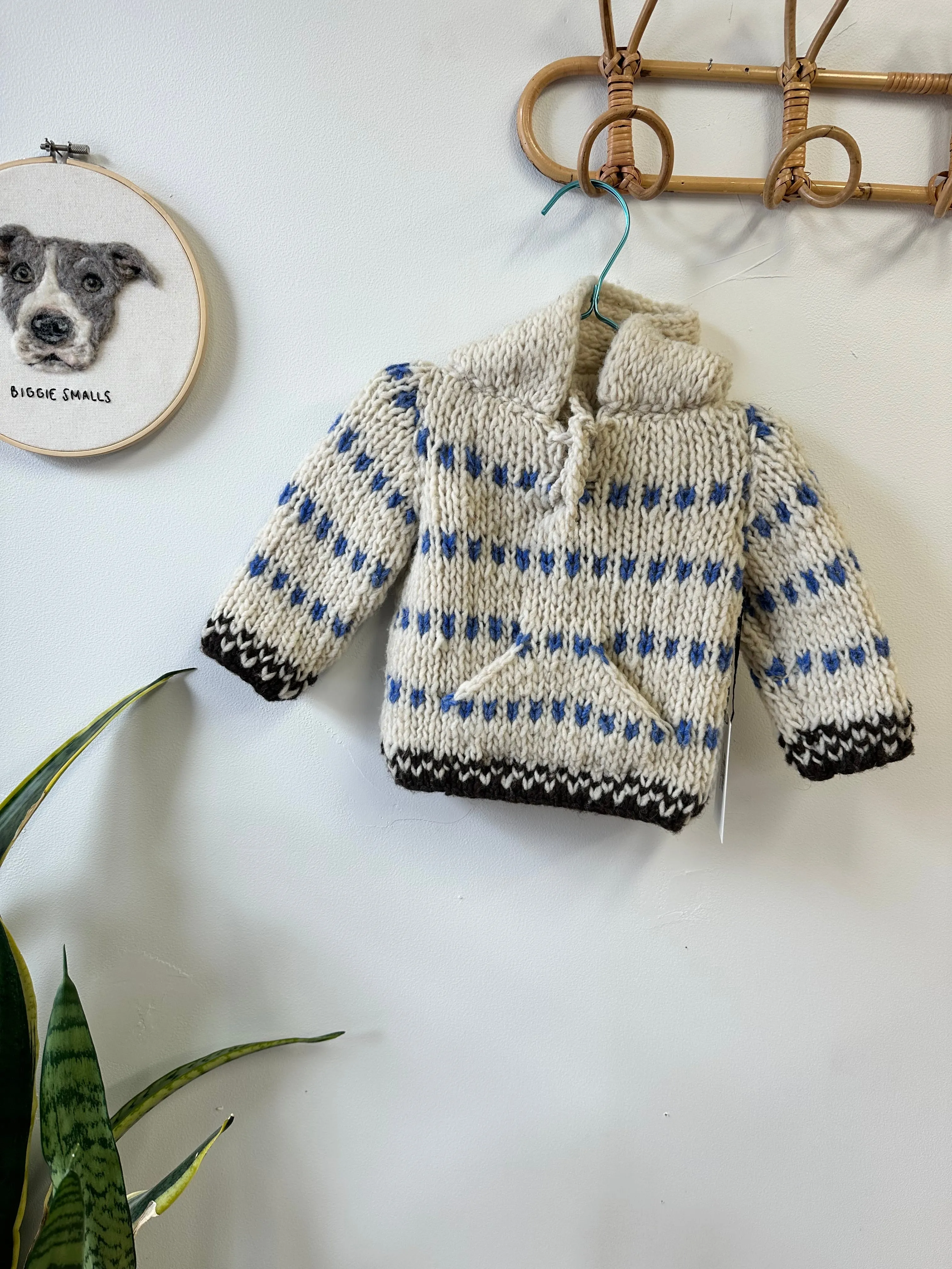 Kids Wool Hoodies