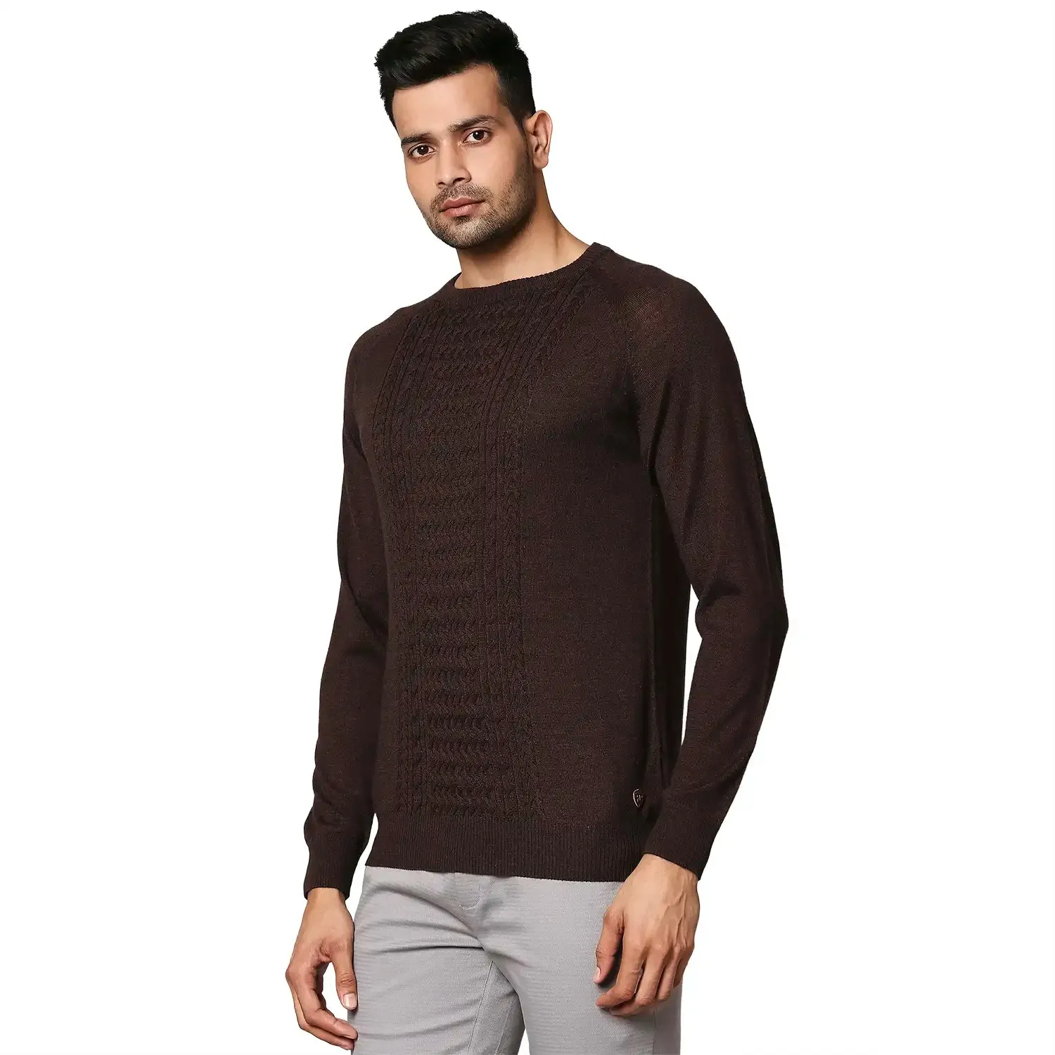 Men Brown Structure Cable Wool Blend Round Collar Sweaters