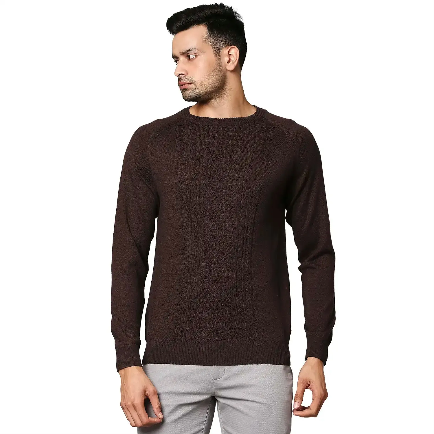 Men Brown Structure Cable Wool Blend Round Collar Sweaters